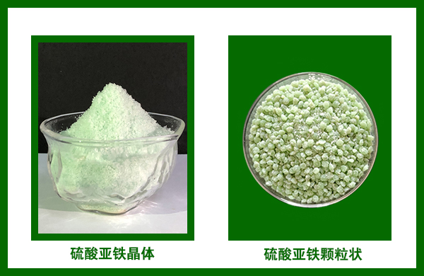 硫酸亞鐵圖片