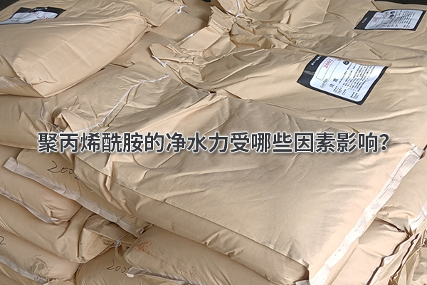 聚丙烯酰胺的凈水力受哪些因素影響？