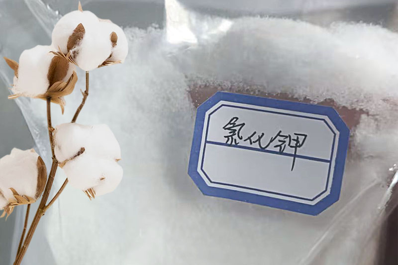 氯化鉀在棉花種植上的應(yīng)用