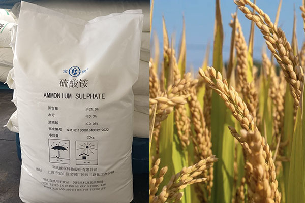 硫酸銨在農(nóng)業(yè)上的應(yīng)用及注意事項